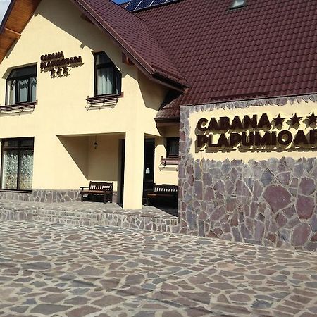 Cabana Plapumioara Crucea Dış mekan fotoğraf