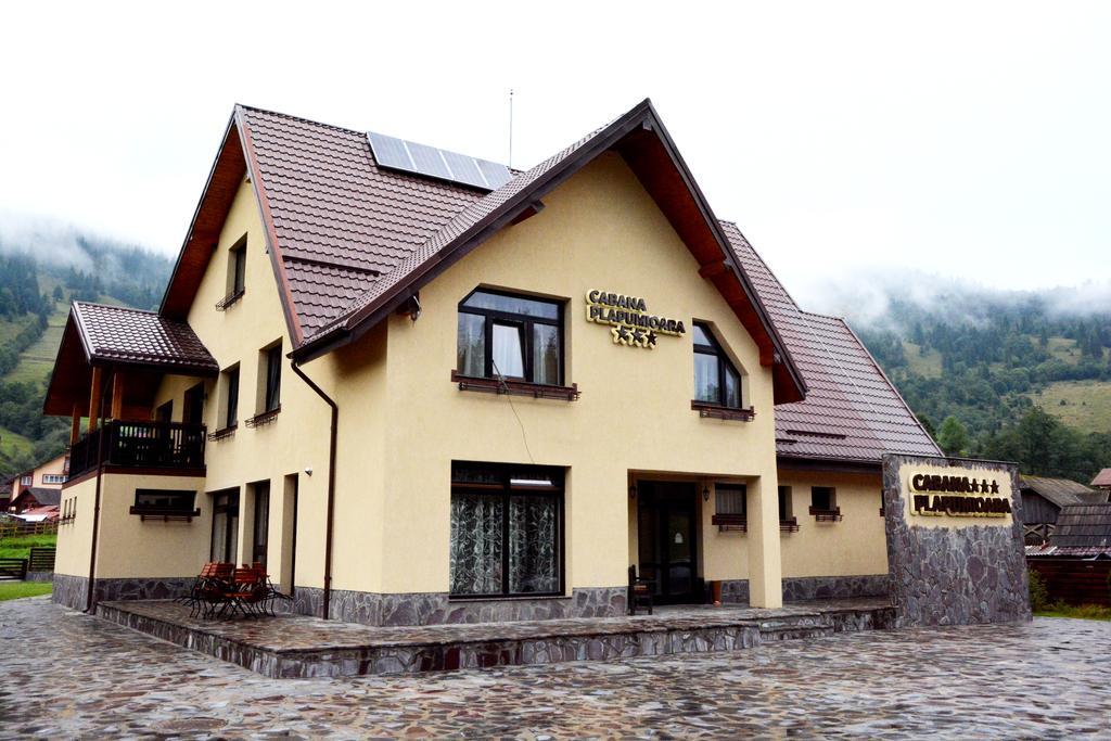 Cabana Plapumioara Crucea Dış mekan fotoğraf